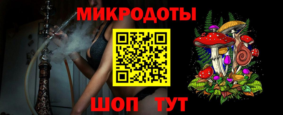 Галлюциногенные грибы Psilocybe Мелеуз